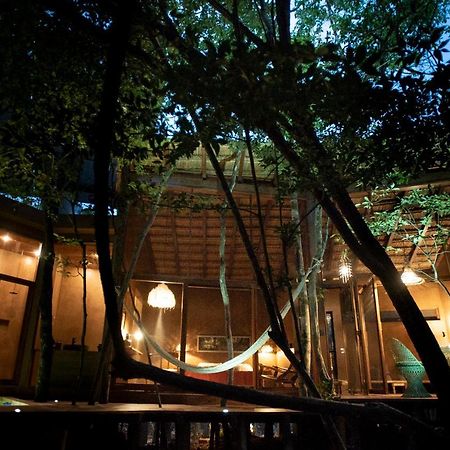 Ojo De Arbol, Boutique Cabin In The Real Jungle Tulum Exteriör bild