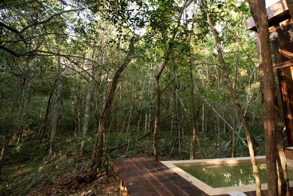 Ojo De Arbol, Boutique Cabin In The Real Jungle Tulum Exteriör bild