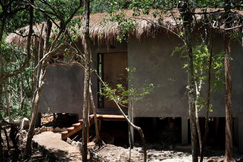 Ojo De Arbol, Boutique Cabin In The Real Jungle Tulum Exteriör bild