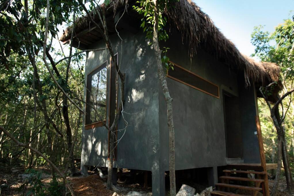 Ojo De Arbol, Boutique Cabin In The Real Jungle Tulum Exteriör bild
