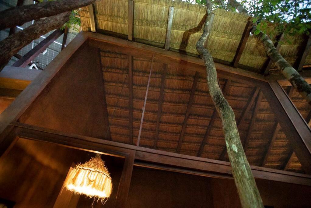 Ojo De Arbol, Boutique Cabin In The Real Jungle Tulum Exteriör bild
