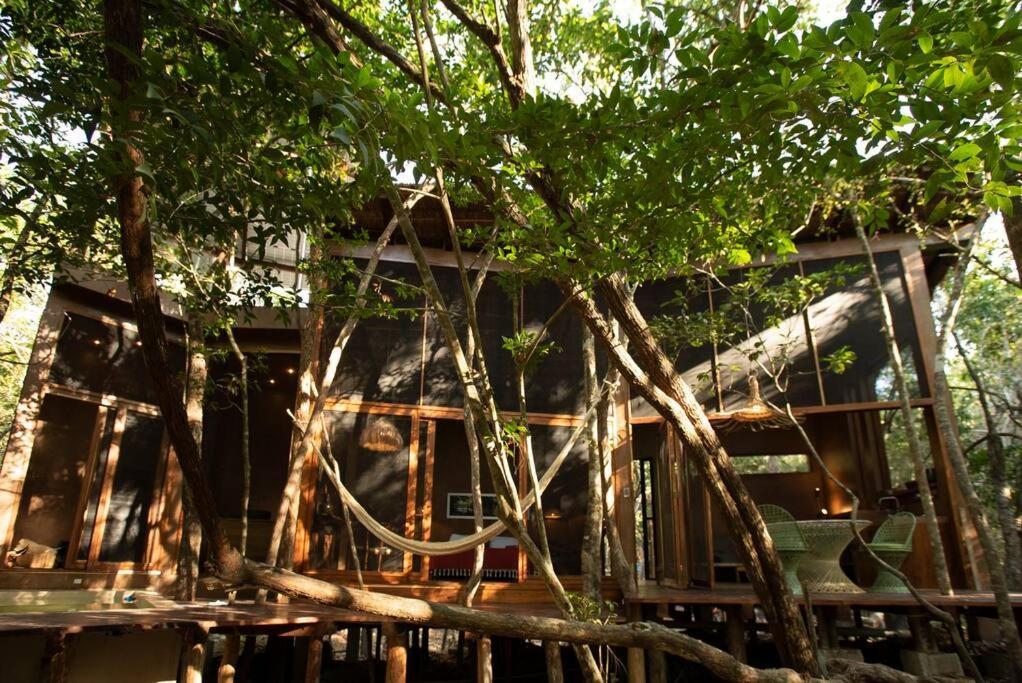 Ojo De Arbol, Boutique Cabin In The Real Jungle Tulum Exteriör bild